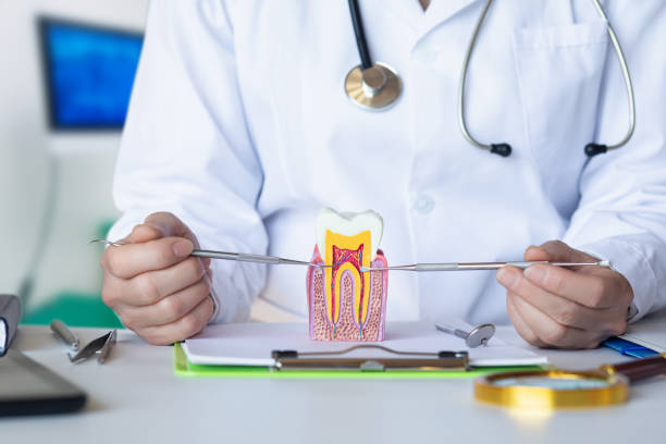 Best Same-Day Emergency Dental Services in Keshore, LA